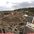 13_50-nest.jpg