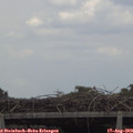 14_00-mast.jpg
