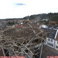 14_05-nest.jpg