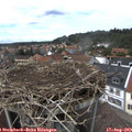 14_10-nest.jpg