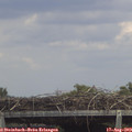 14_15-mast.jpg