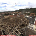 14_15-nest.jpg