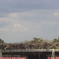 14_20-mast.jpg
