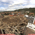 14_20-nest.jpg