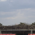 14_25-mast.jpg