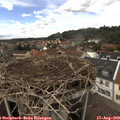 14_25-nest.jpg