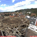 14_30-nest.jpg