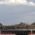 14_35-mast.jpg