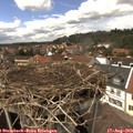 14_35-nest.jpg