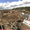14_40-nest.jpg