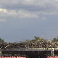 14_45-mast.jpg