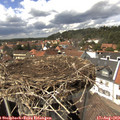14_45-nest.jpg