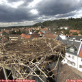 14_55-nest.jpg