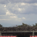 15_00-mast.jpg