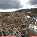 15_00-nest.jpg