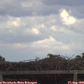 15_05-mast.jpg