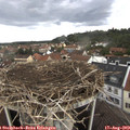 15_05-nest.jpg