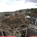 15_10-nest.jpg