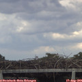 15_15-mast.jpg