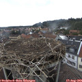 15_20-nest.jpg