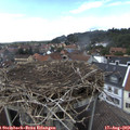 15_25-nest.jpg