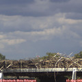 15_30-mast.jpg