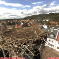15_35-nest.jpg