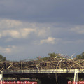 15_40-mast.jpg