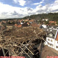 15_40-nest.jpg