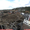 15_45-nest.jpg