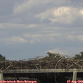 15_50-mast.jpg