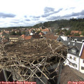 15_55-nest.jpg