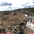 16_00-nest.jpg
