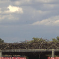 16_05-mast.jpg