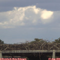 16_10-mast.jpg