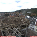 16_10-nest.jpg