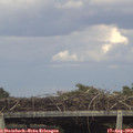 16_15-mast.jpg