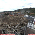 16_15-nest.jpg