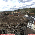 16_20-nest.jpg