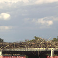 16_25-mast.jpg