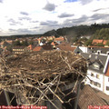 16_25-nest.jpg