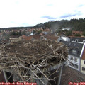 16_30-nest.jpg