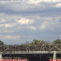 16_45-mast.jpg