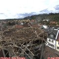 16_45-nest.jpg