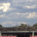 16_50-mast.jpg