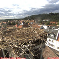 16_55-nest.jpg