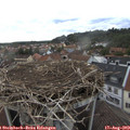 17_05-nest.jpg