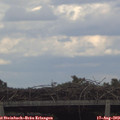 17_10-mast.jpg