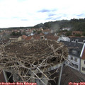 17_10-nest.jpg