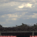 17_15-mast.jpg